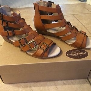 lizard thicket shoes